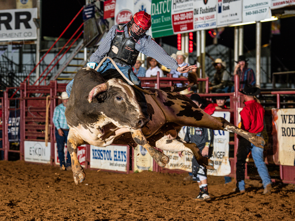 10 22 2020 North Texas Fair Rodeo Bulls Perf1 Lisa7936